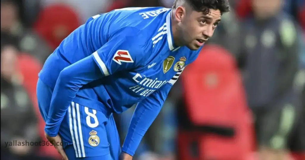 فيدي فالفيردي 